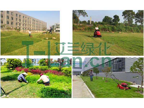 城市园林绿化的要点有哪些？