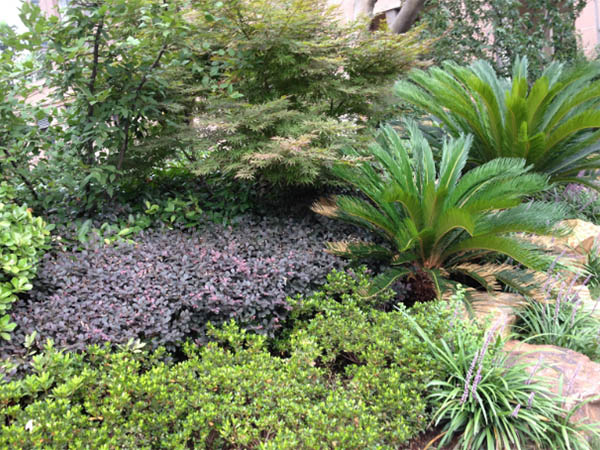 龙八头号玩家唯一的愿景与理念